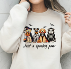 Custom Graphic Hoodie, Personalized Sweatshirt With Soft Comfortable Fabric & Unisex Fit