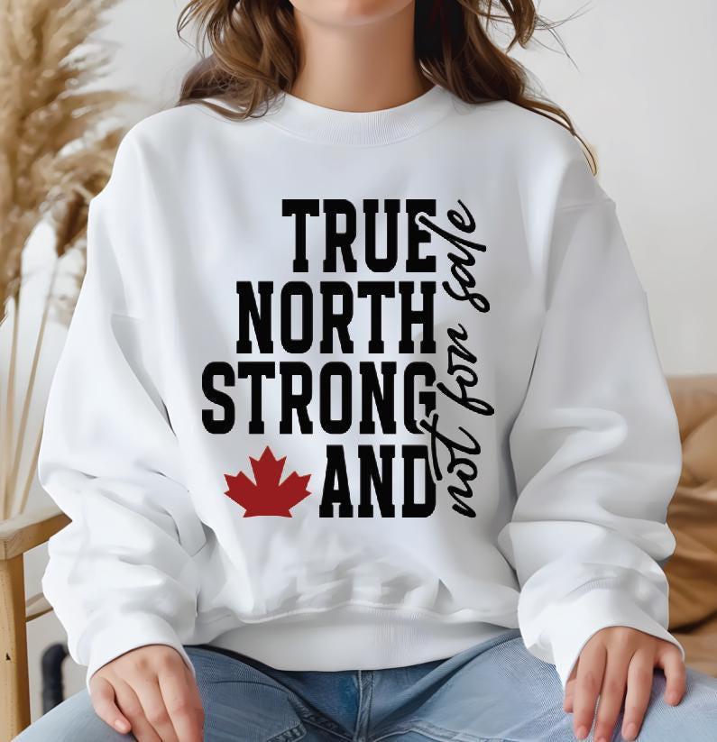 Canada Pride Hoodie: True North Strong - Not For Sale Design